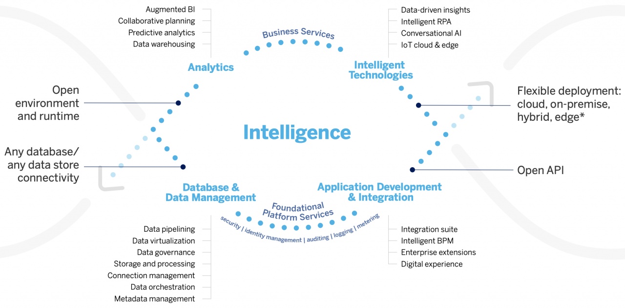 sap business platform