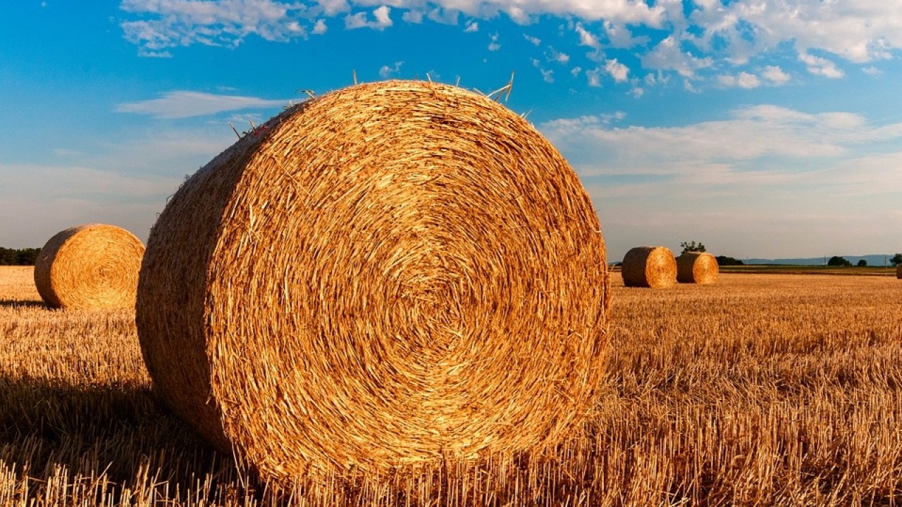 Inail: 65 milioni di euro per la salute e la sicurezza nelle Pmi agricole