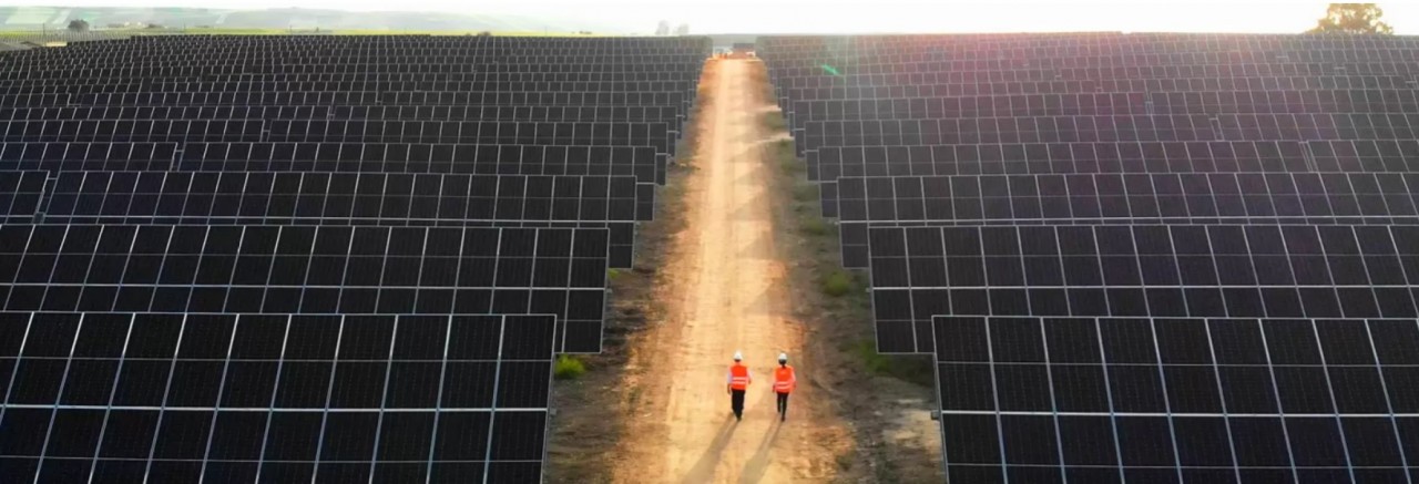 Engie inaugura il più grande parco agrivoltaico in Italia per alimentare le attività di Amazon
