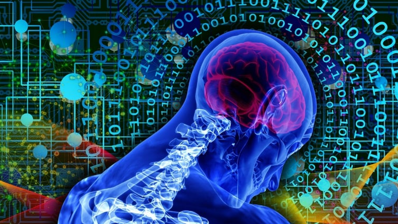 TIM: nel 2027 in Italia il mercato dell'IA raggiungerà 6,6 miliardi di euro