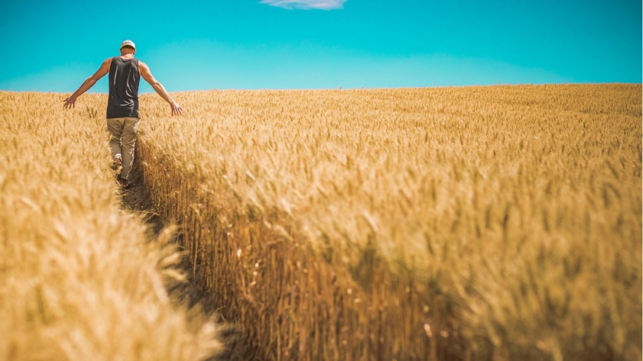 Italia e Ue: il clima penalizza i risultati economici dell’agricoltura