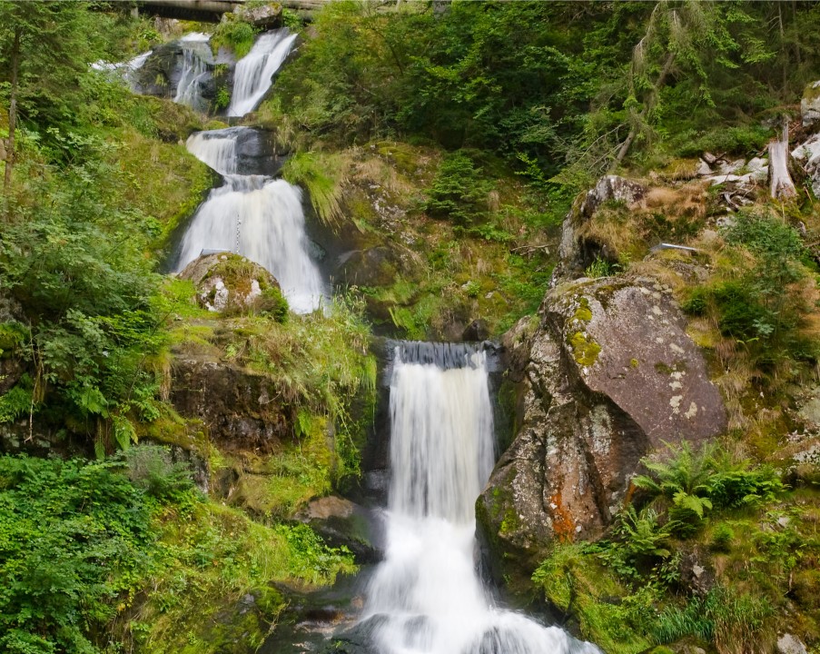 Capgemini: l’economia eco-digitale verso il raddoppio in cinque anni