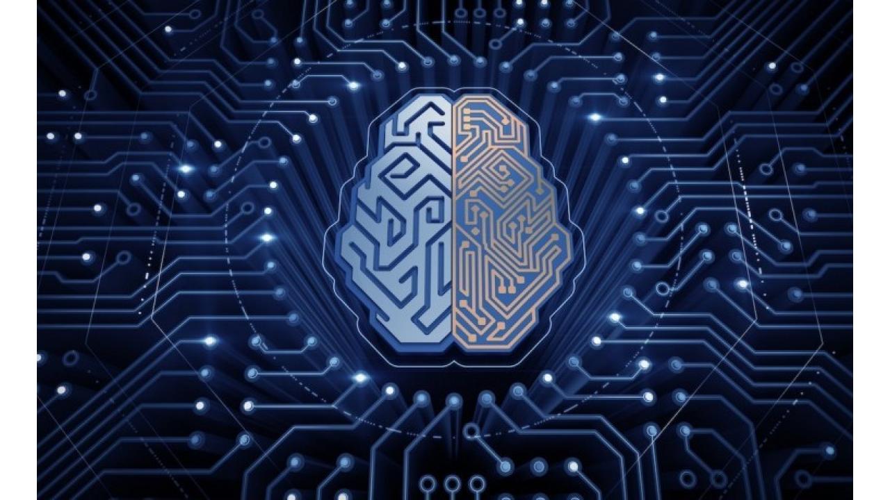 IBM, con Granite 3.0 i modelli di AI sono open source