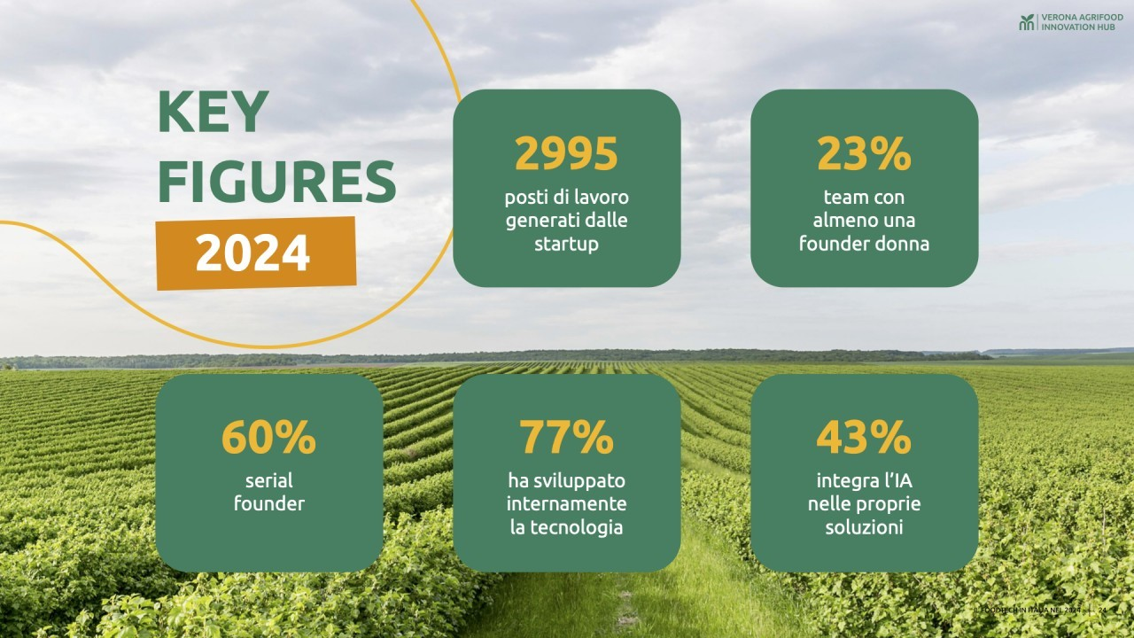 L’AgriFoodTech in Italia: calano gli investimenti, ma cresce il numero di startup