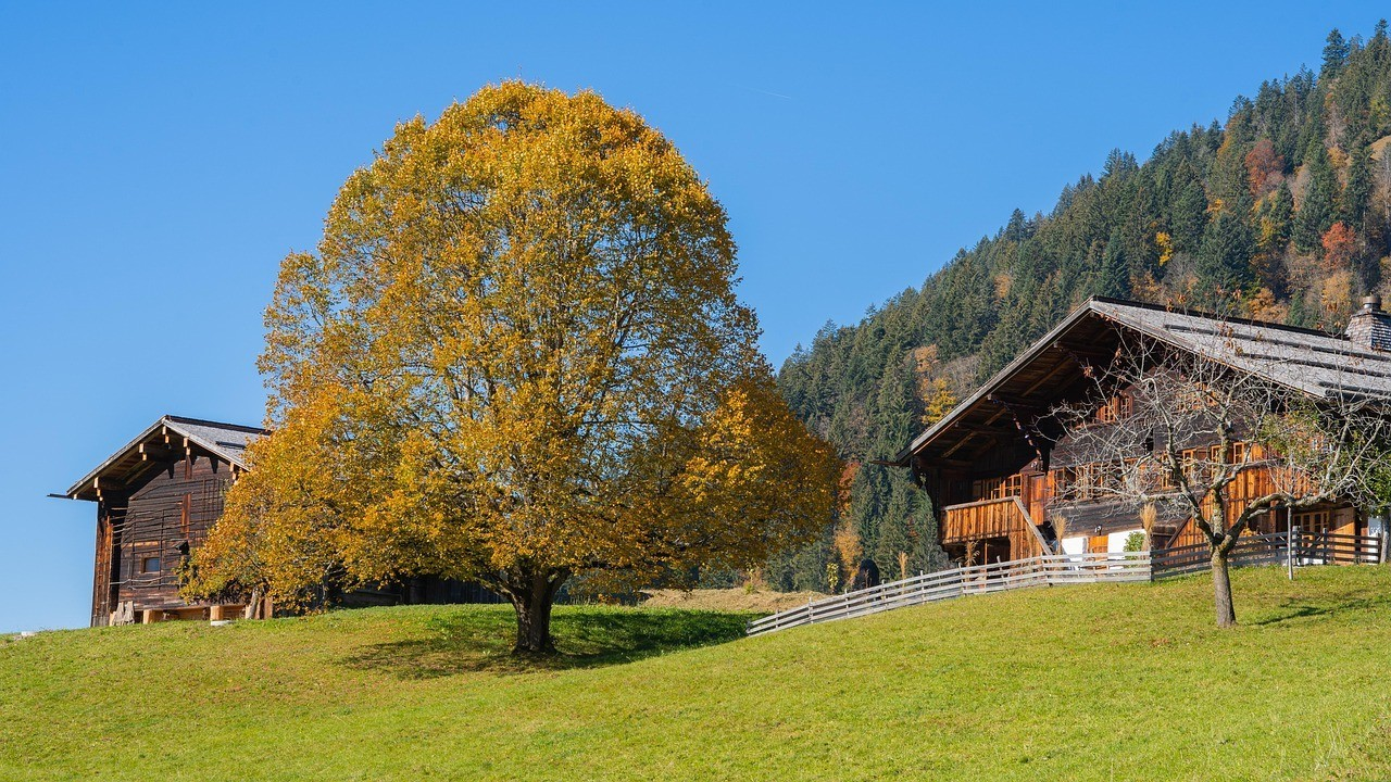 Istat: prosegue la crescita delle aziende agrituristiche