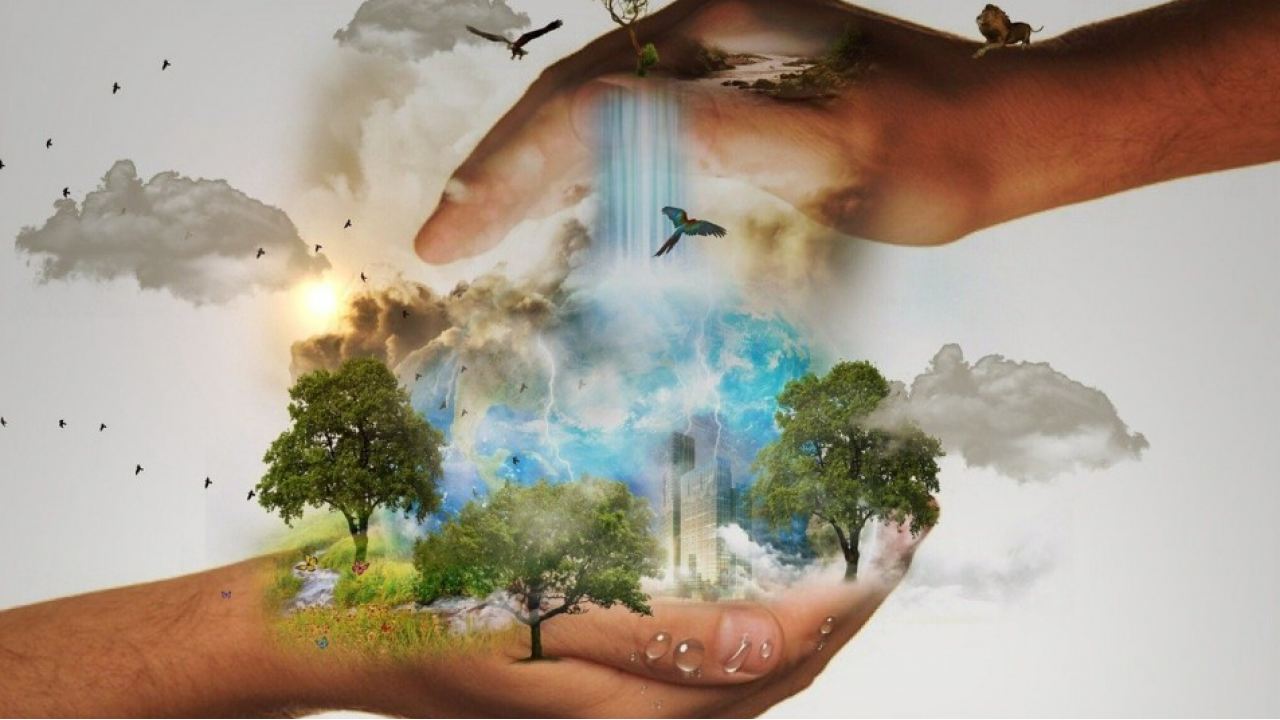 Studio sulla Biodiversità di Rete Clima: il 71% delle aziende è pronto a investire in biodiversità