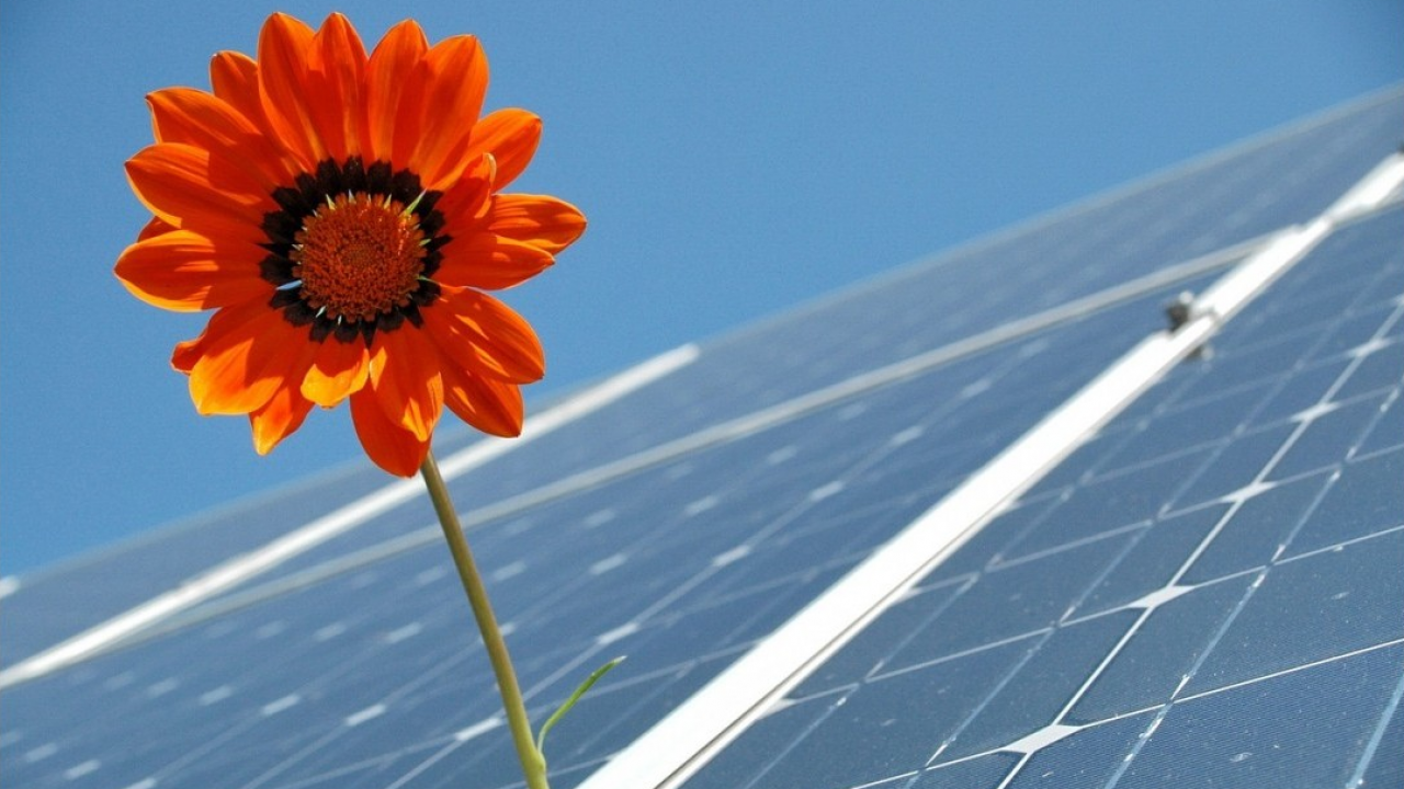 Juwi Energie Rinnovabili vende un portafoglio di progetti fotovoltaici a Kelag Italia