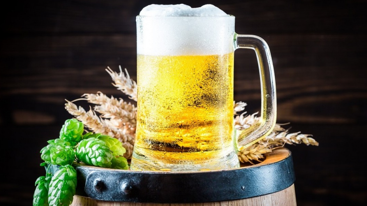 Birra e sostenibilità: la Gen Z guida la rivoluzione green