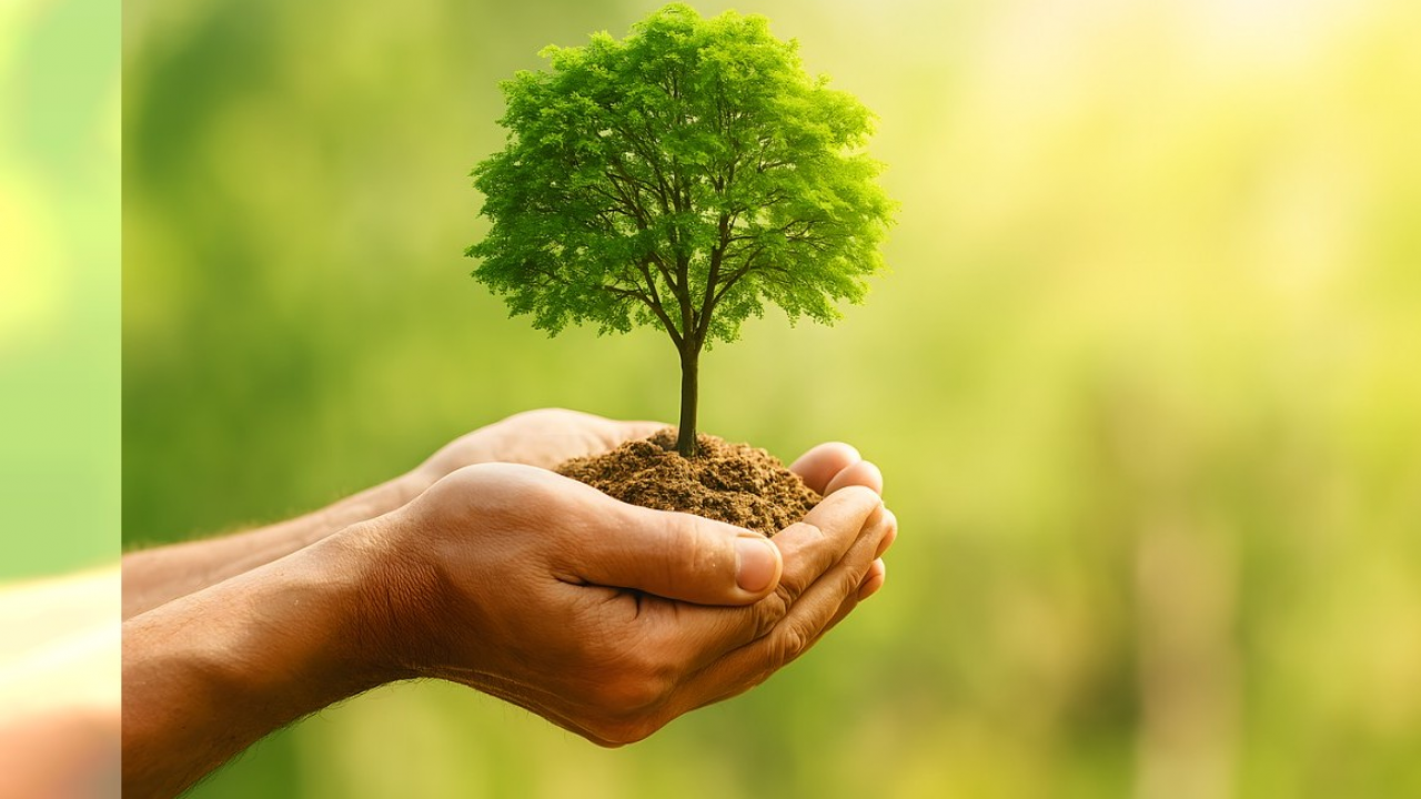 Greenwashing invisibile: solo il 14% dei consumatori si fida delle aziende