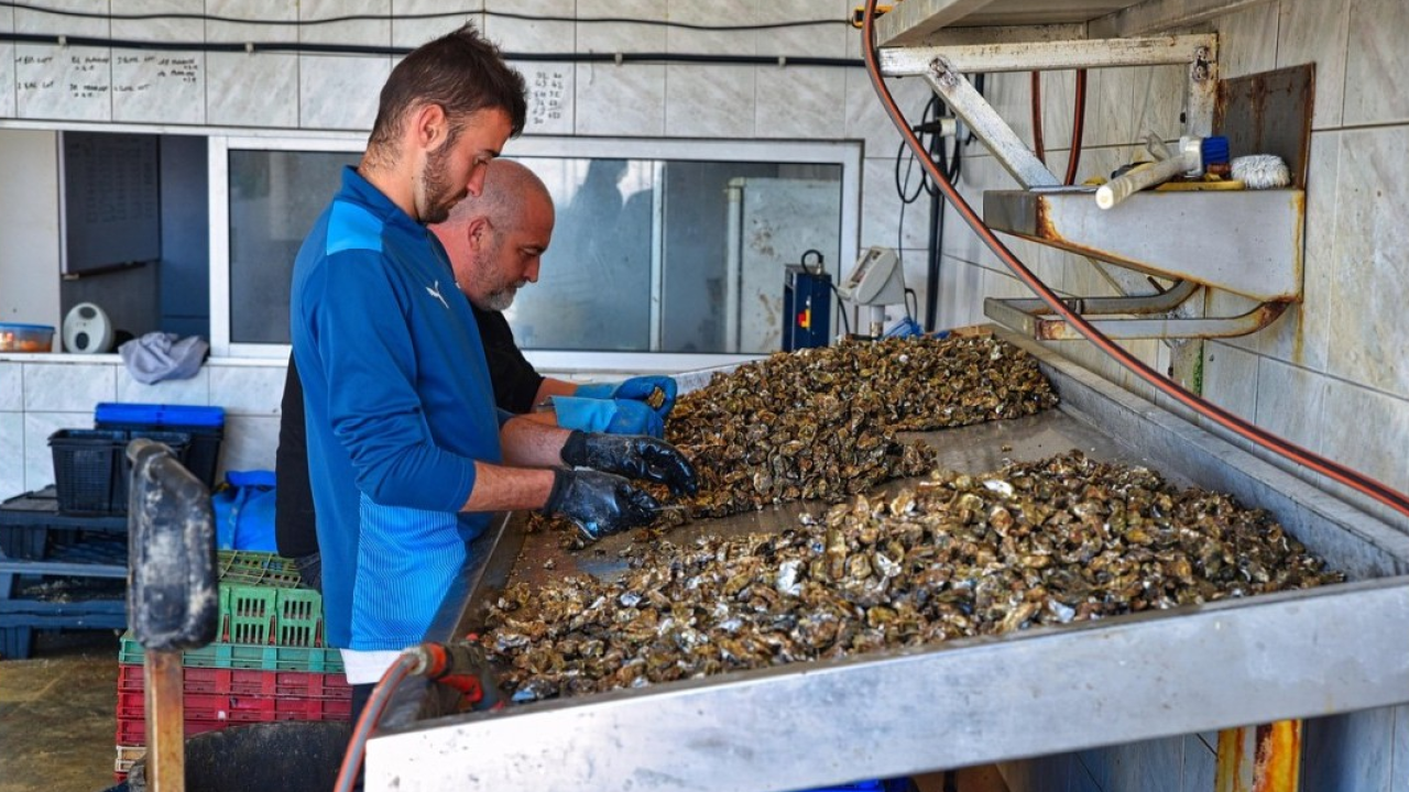 Lavoro nel settore primario: poco meno di 44mila le entrate previste a settembre