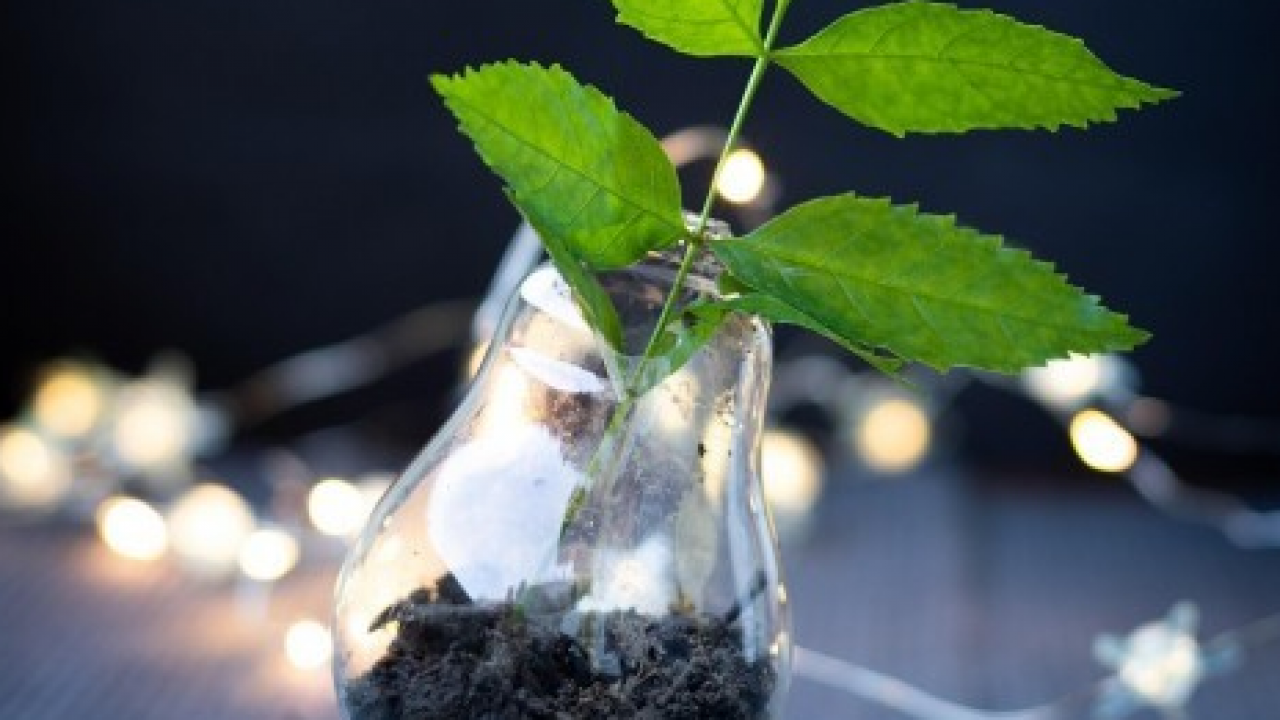 Biorepack: a Ecomondo iniziative su buone pratiche di riciclo e nuovo marchio imballaggi