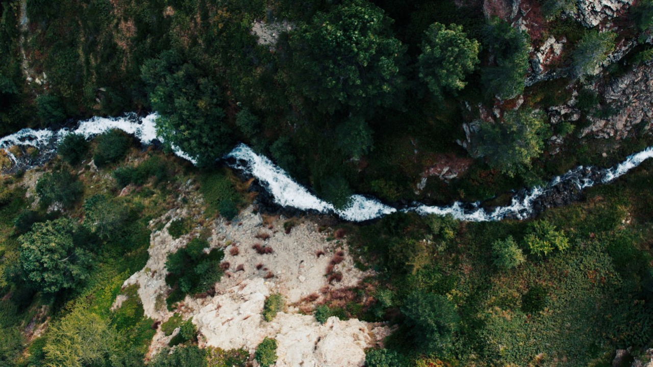 Sanpellegrino presenta i progetti di rigenerazione della foresta in Alta Valtellina