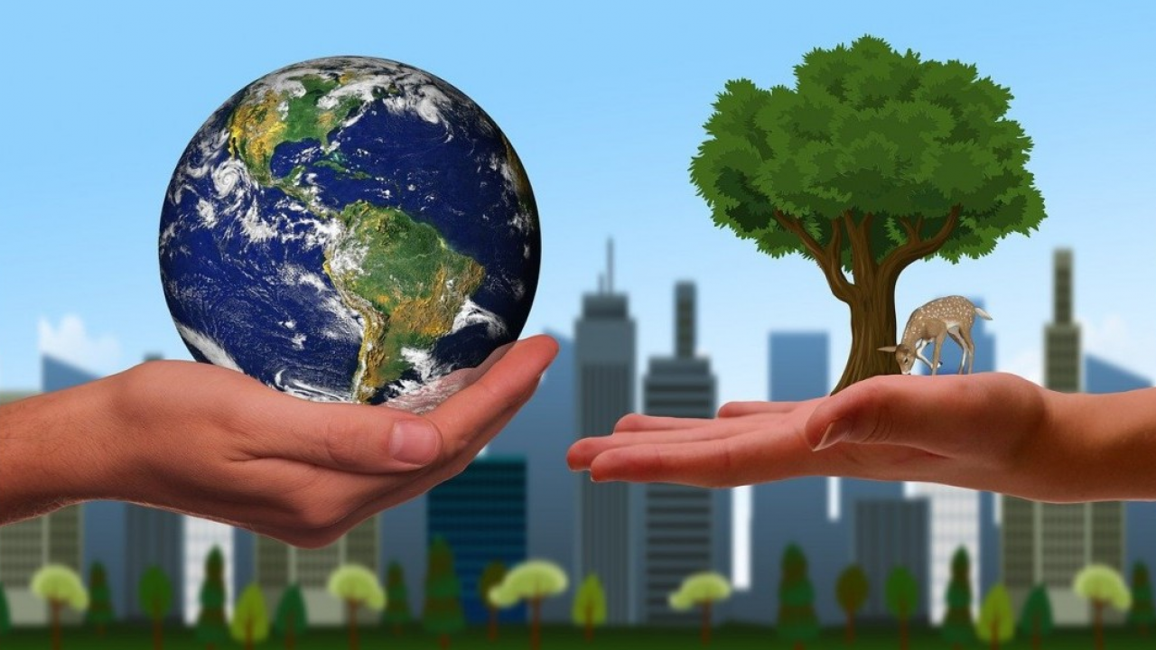 Sostenibilità: l’AI aiuta a stanare il greenwashing, ma in Italia la tecnologia non è ancora adottata