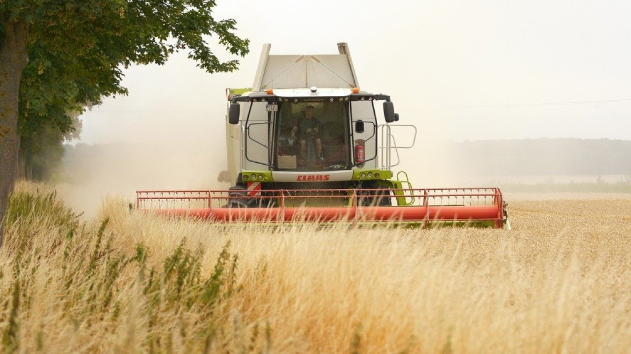 Zes unica per il settore agricolo: aumentato il credito d’imposta per le imprese beneficiarie