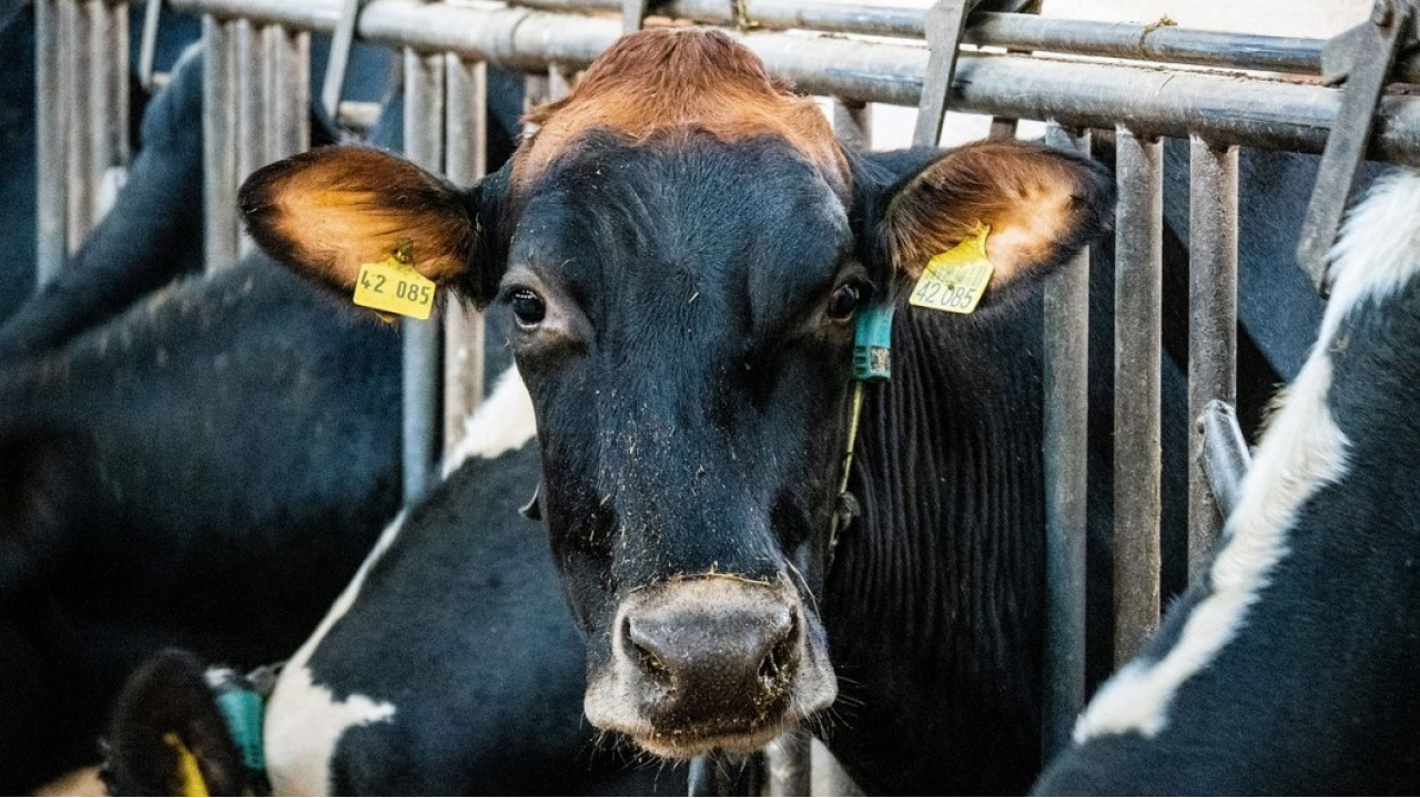 Con Fieragricola 2026 Veronafiere torna capitale europea dell’agricoltura, dal 4 al 7 febbraio