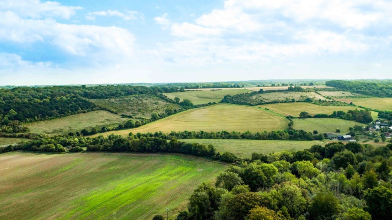 Purina Europa accelera sull’agricoltura rigenerativa: superati gli obiettivi per il 2025