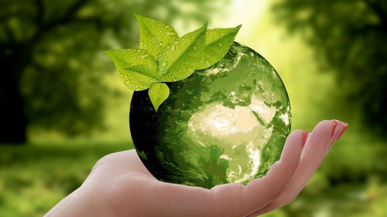 Logistica predittiva e sostenibilità: Acer EMEA traccia le spedizioni e le emissioni di CO2 con l'AI