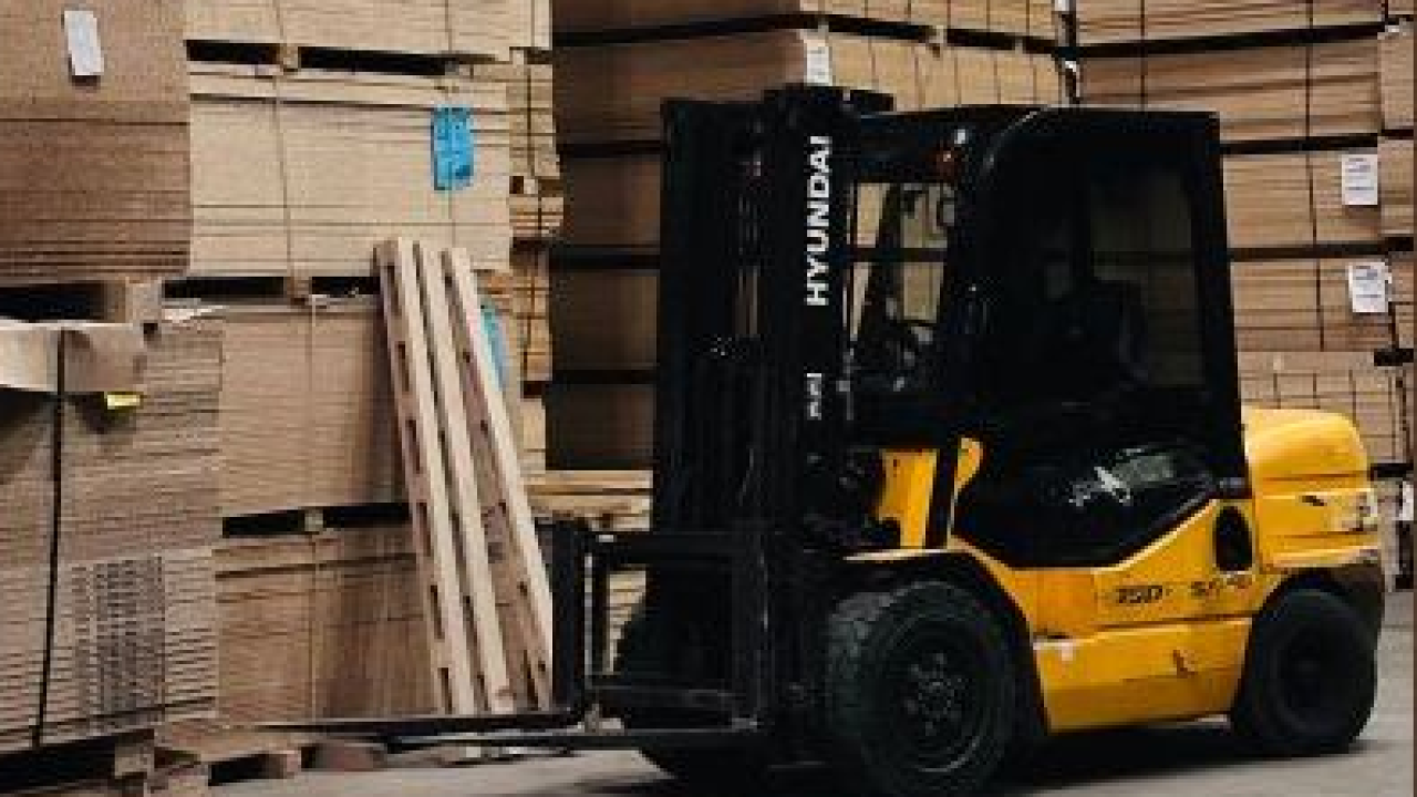 Raccolta differenziata di carta e cartone: il Sud supera il milione di tonnellate e il Paese segna un nuovo record