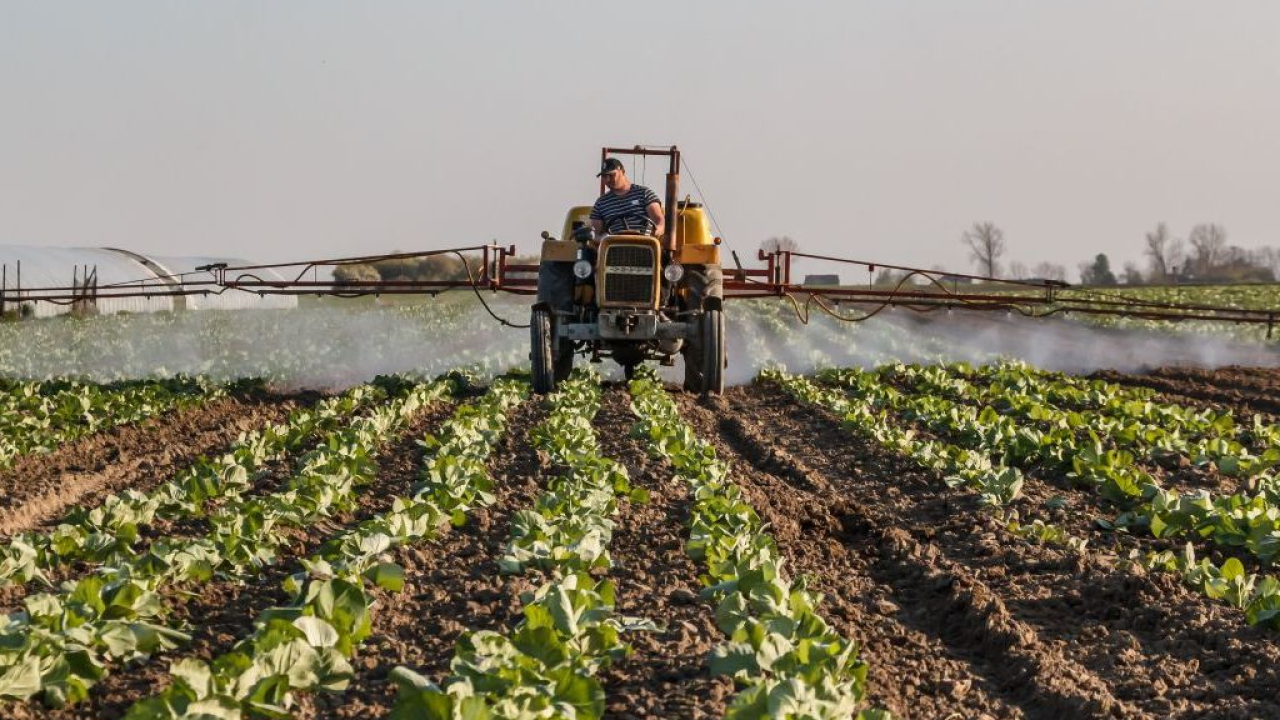 Veneto: 60 milioni di euro per il ricambio generazionale delle imprese agricole