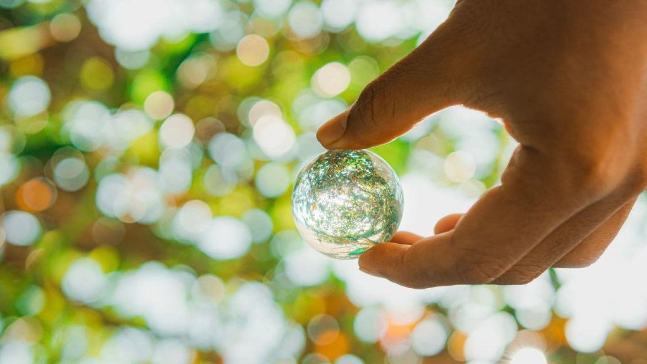Nasce Resense: la prima piattaforma ESG su blockchain in Italia per tracciare e valorizzare le eccedenze